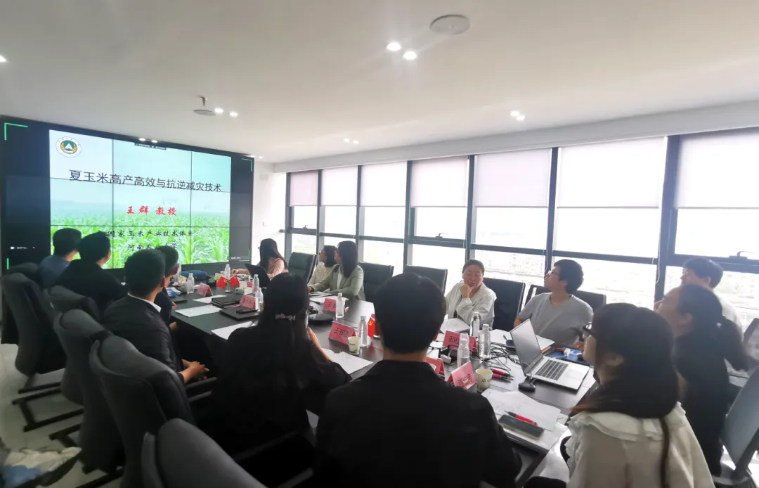 ���w�Ƽ����^�Г�(d��n)�ć������c(di��n)�аl(f��)Ӌ(j��)���(xi��ng)Ŀ��ӑ����������������e��